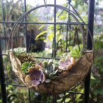 2PC Rustic Iron Wire Moon Shape Pot Hanging er