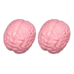 1/2 tk hiiglaslik simulatsiooniaju pigistamism&auml;nguasi stressileevendus roosa ajuaju sensoorne m&auml;nguasi dekompressioon aeglaselt t&otilde;usev realistlik ajuaju fidget-m&auml;nguasi 2pcs pink
