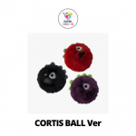CORTIS Ball Ver CORTIS 2. EP Album GREENGREEN No POB Random