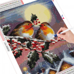 Teemanttikandid Ristpistes lind 5D DIY Teemantmaaling Loom Rhinestone Pilt J&otilde;ulukingitus Full Round (20X30CM)