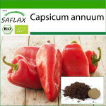 SAFLAX - Orgaaniline - Paprika - Pikk punane Marconi - 20 seemet - Potisubstraadiga paremaks kasvatamiseks - Capsicum annuum