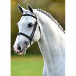 DIY Horse 5D Teemantmaal T&auml;isring puur Loom Teemanttikandid Ristpistes Mosaiik Komplektid Vaigust seina kunst Kodukaunistus Full Round 60x90CM