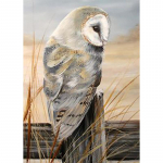 5D teemantmosaiik &ouml;&ouml;kull n&auml;put&ouml;&ouml; DIY t&auml;isring puur Teemanttikandid Ristpistes komplektid Loomade kivid Kodukaunistus Full Round 20x30CM