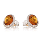 Les Tr&eacute;sors De Lily [R3827] - h&otilde;bedased k&otilde;rvar&otilde;ngad  Inspiration  merevaigu konjak (roodiumiga kaetud) - 10x8mm pruun