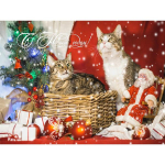 5D DIY Teemantmaali Kasside k&auml;sit&ouml;&ouml;komplekt T&auml;isruudukujuline &uuml;mmargune teemanttikandid Loomade ristpistes Mosaiikkomplekt J&otilde;ulukaunistused Full Round 20x30CM