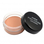 Dark Circle Acne Mark Blemish Cover Concealer Cream Brightening Whitening Makeup