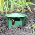 Lihtsasti kasutatav n&auml;lkjap&uuml;&uuml;dja ​​Keskkonnas&otilde;bralik tigude puur