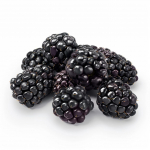 100 Graines de M&ucirc;re Sauvage - SemiSauvage Permaculture