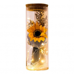 Konserveeritud lillede klaasist soovipudel LED-valgusega igavene roosilill Romantiline kingitus armastatud s&otilde;pradele P