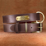 Isikup&auml;rastatud koera kaelarihma jalutusrihma komplekt Kohandatud nahast koerasildi kaelarihmad Tasuta graveeritud nimesilt v&auml;ikestele keskmise suurusega suurtele koertele Pitbull XS