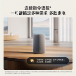 Xiaomi MI Nutikas K&otilde;lar Super Xiaoai AI Assistent CN pistikuga (adapter kaasas)