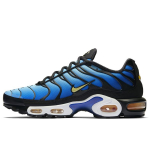Nike Air Max Plus Og Hyper Blue 2018 BQ4629-003 42