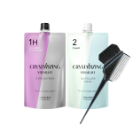 Shiseido Crystallizing Straight H Sirgendusaine Tervetele kuni Kreemikatele Juustele V&auml;rvipintsel [3-osaline komplekt] (1. Madala kahjustusega juuksed) + (2. agent) +