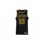 Nike NBA Lakers Lebron James Swingman S&auml;rk DJ1433-011 S
