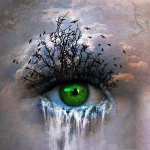 5D isetegemise uus teemantmaal  rohelised silmad  3D kivist tikand ristpistes 5D kaunistus kingitus 30x30CM