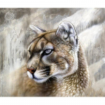 DIY teemantmaali komplekt Pilveleopardi kristallist teemantmaali &uuml;mmargune teemant perekonna kaunistus 20X30CM