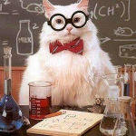 5D DIY T&auml;is&uuml;mmargune Teemantmaali Professor kassipoeg Tikand Ristpiste 30x30CM