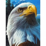 5D DIY teemantmaalikomplekt Eagle Art Teemanttikandid Rhinestones Kaunistused koduks Round 20x30cm