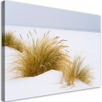 Kuldsel liival l&otilde;uenditr&uuml;kk Dunes 60x40 beež