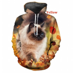 Cool Cat Print 3D kapuutsiga dressipluusid kevad- ja s&uuml;gishooajal meestele/naistele sobivad hipsterkassidele kapuutsid Pulloverid S-5XL XL