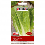 Pikaleheline rooma salat Liwia k&ouml;&ouml;giviljaseemned aeda 1g