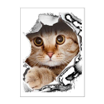 Sticker Chat &agrave; travers le mur