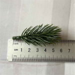 J&otilde;ulupuu kaunistus DIY Daisy kunstlilletarvikud Pulmapidu V&otilde;lts taimeoksad 10 tk kaunistuskimp 6cm