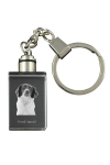 French Spaniel, French Setter, Canadian Setter - Crystal key ring with dog photo, illuminated key ring, unique gift by Art-Dog brand