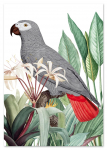 Plakat hallid papagoi taimed 21x29,7 cm A4