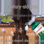 Puu juurem&auml;daniku eemaldaja: Tugev &uuml;hetilgaline lahendus m&auml;daniku, umbrohu ja bambuse h&auml;vitamiseks Tree Root Rot - 5 Bottles (Buy 3 Get 2 Free)