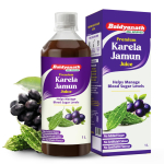Baidyanath Premium Karela Jamuni mahl - 1L | Toetab loomulikult tervislikku veresuhkru taset |