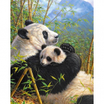 5D DIY Lovely Panda Painting Stick Drill Craft Full Drill Kodukaunistus 20x25CM
