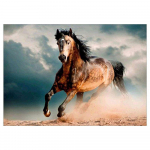Teemanttikandid Jooksev rats 5D Teemantmaali mosaiik Pilt K&auml;sitsi valmistatud kodukaunistus 20X30CM