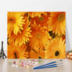 Digitaalne &otilde;limaal Numbrid &Otilde;limaal Kodukaunistus L&otilde;uend DIY Maali numbrite j&auml;rgi Kunst 40x50cm no frame