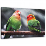 Feeby l&otilde;uenditr&uuml;kk, v&auml;rvilised papagoid 60x40 mitmev&auml;rviline