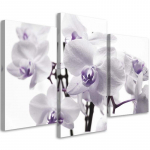 Kolmeosalise pildiga l&otilde;uenditr&uuml;kk Orchid Blossom Purple 60x40 lilla