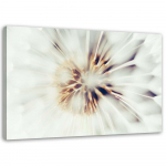 L&otilde;uenditr&uuml;kk Dandelion Macro Dandelion Nature 60x40 beež