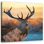 L&otilde;uendiprint Hirve p&auml;ikeset&otilde;us 30x30 pruun