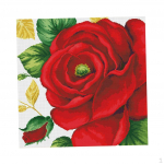 Embroidery - Pattern Pre-printed Embroidery, . Instructions For Children u0026 Adults