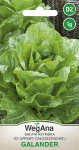 Romaine Galander salat 1g salatiseemned - WegAna