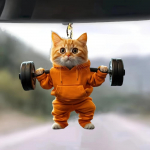 2D akr&uuml;&uuml;l, armas oranž kass fitness v&otilde;tmehoidja lemmiklooma kangi disain, sobib auto v&otilde;tmed ja kingitused, tahavaatepeegli v&otilde;lusid, koti tarvikud.