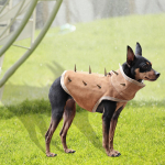 Dog Vest Sturdy Breathable Lightweight Anti Bite Easy to Wear Pet for Outdoor Travel Walking S