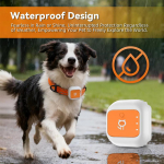 Nutikas GPS-lemmikloomakaelarihm globaalse j&auml;lgimise, WiFi, kaotsiminekuvastuse ja vargusvastase funktsiooniga Locator S (cats <8KG, 25-32CM) EU/Asia Version
