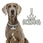 Lemmikloomakoera kaelarihm KING/QUEEN Hip Hop Sulam Kullatud T&auml;ielikult Teemantidega T&auml;ielikult Teemantidega Suur Kullast Kett Kuuba V&auml;ikestele Keskmistele Suurtele Koertele 30cm
