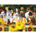 5D DIY Teemantmaaling P&otilde;llumajandusloomad T&auml;iskandiline/&uuml;mmargune puur Koer Teemanttikandid Pilt Mosaiik Rhinestone K&auml;sitsi sisekujundus Full Round 20X30CM punane