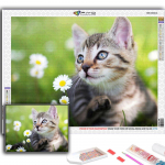 5D DIY teemanttikandid armsad v&auml;ikesed loomad kass, koer, panda teemantmaaling mosaiik kodukaunistus Full Round 20X30CM