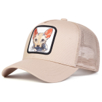 Suvine Kass Tikandiga Reguleeritav Meeste ja Naiste M&uuml;ts Paarile Matkamiseks Pesapallim&uuml;ts V&otilde;rk Hip-Hop M&uuml;tsid Loomam&uuml;tsid must