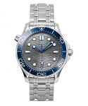Omega Seamaster Roostevaba Teras Halli Numbrilauaga Automaatne Sukelduja 210.30.42.20.06.001 300M Meeste K&auml;ekell hall
