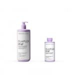 N&deg;4P Shampoing D&eacute;jaunissant Blonde Enhancer 250ml 20142772