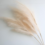 Suur pampashein 100 cm k&otilde;rge Kohev roogude kimp V&otilde;lts pampas Kunstlilled Boho Kodu Pulma kaunistus Lillekimp 3pcs kerge kohvi v&auml;rv